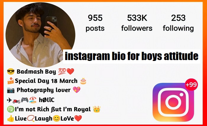 instagram bio for boys attitude